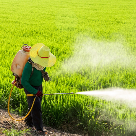 С 1 сентября 2024 года  новый чек-лист для госконтроля в сфере безопасного обращения с пестицидами