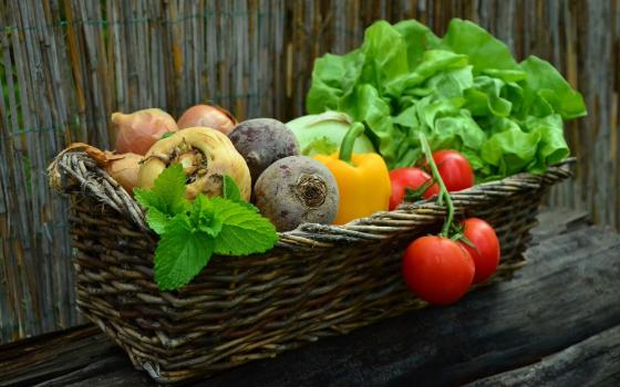 27 овощных базаров открылись в Брянске